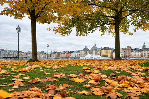 Cityscape of Gamla Stan in Stockholm, Sweden, in autumn. Old city of Stockholm with autumn c of orange color at the foreground.