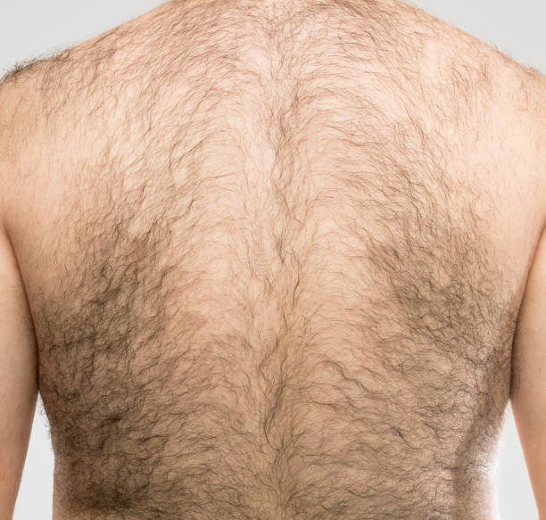 a hairy back a hairy back body hair stock pictures, royalty-free photos & images