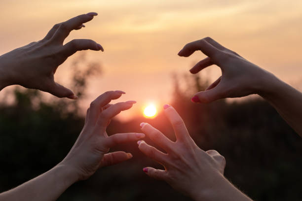 Hands with gestures of the monsters on the background of sunset.