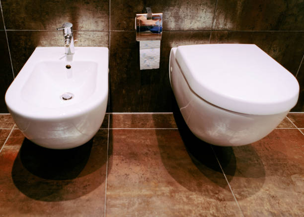 istock Closed ceramic toilet bowl with bidet in bathroom 1037026784