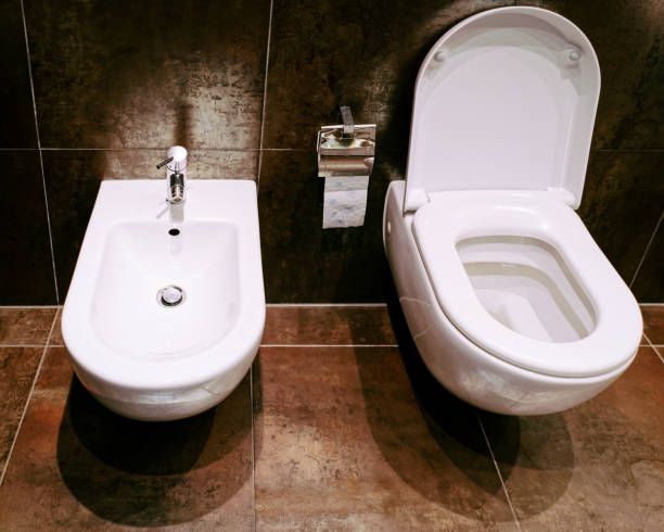 istock Open ceramic toilet bowl with bidet in bathroom 1037027044