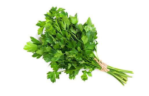A bunch of parsley bandaged with a rope with a bow isolated on a white background