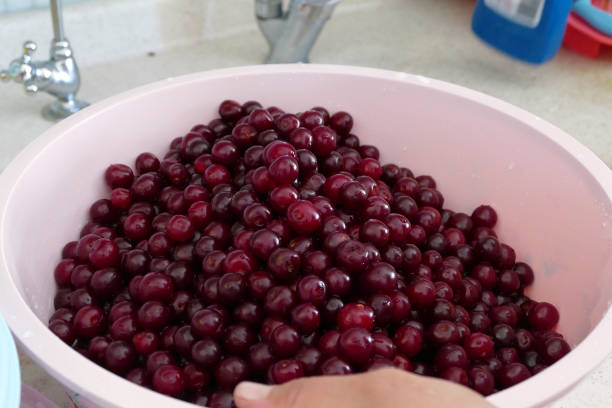 istock A woman cleans cherries to make cherry jam. cleaned sour cherry to make jam, 1037044000