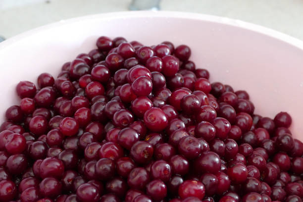 istock A woman cleans cherries to make cherry jam. cleaned sour cherry to make jam, 1037044010