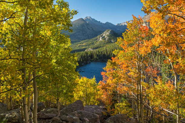 istock Aspen Color at Rocky Mountain National 1037060258