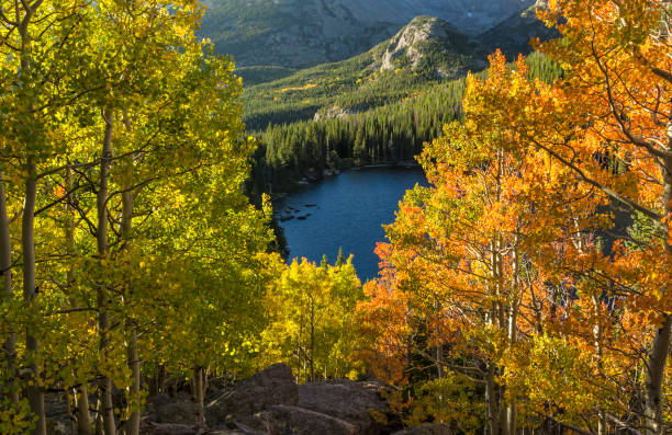 istock Yellow and ORange Aspens Above Bear Lake 1037064680