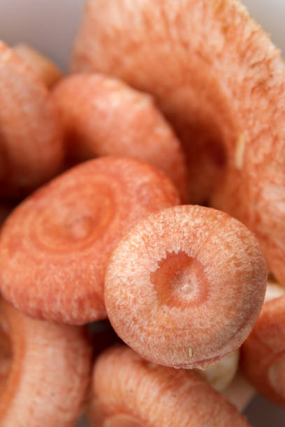 istock Mushrooms volnushki raw collected lie on a white plate 1037064752