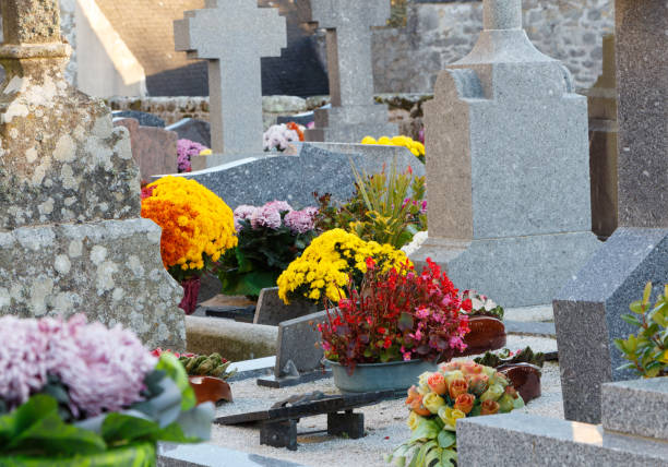 istock Cemetery with chrysanthemum plants on tombstones 1037068562