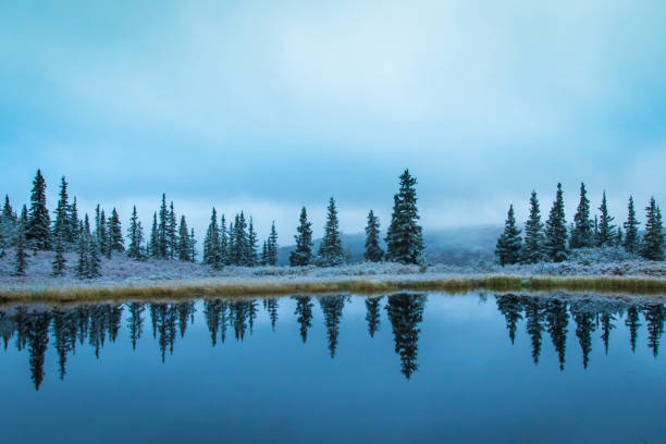 istock Winter scene in Alaska pond 1037074820