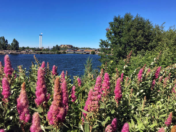 July 3, 2018- Bend Oregon, USA:iconic smoke stacks and flowers in the old mill district near the river which is now a popular place near the river for shopping and eating out