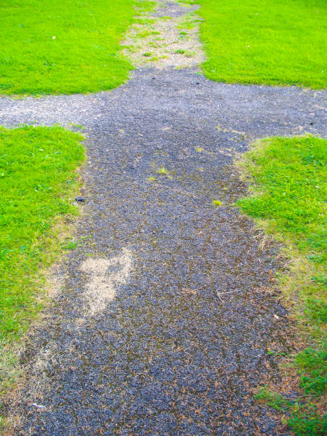istock A Path in the Shape of a Cross 1037082748