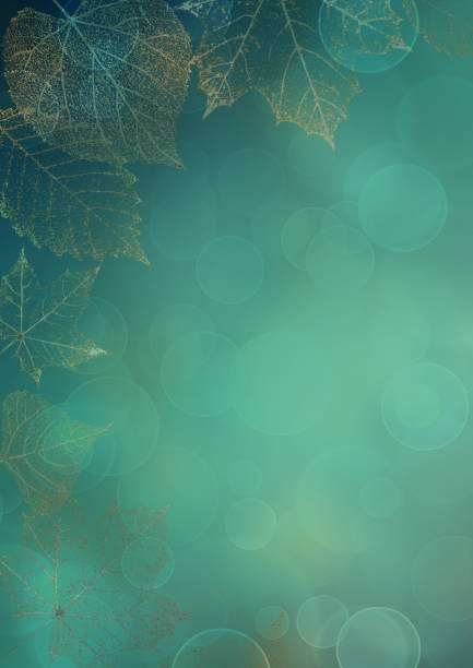ilustraciones, imágenes clip art, dibujos animados e iconos de stock de hojas de otoño esqueleto transparente fondo - leaf autumn macro leaf vein