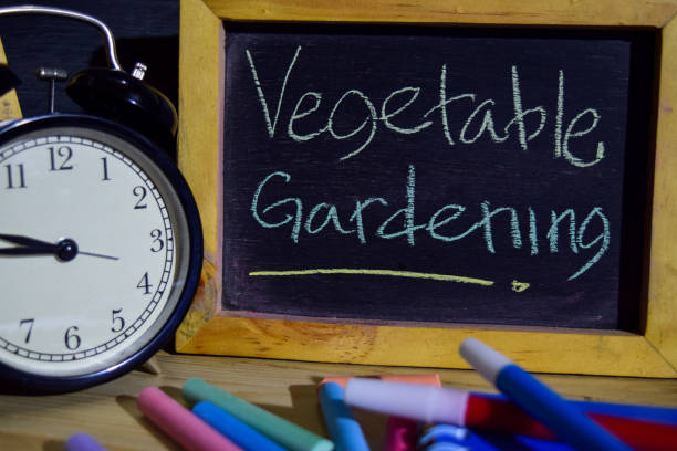 istock Vegetable gardening on phrase colorful handwritten on blackboard 1037090628