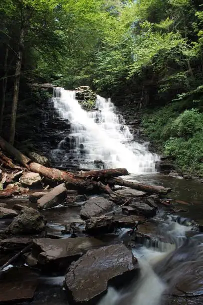 Photo of Waterfalls #2 - Rickets Glenn - Vertical - Nature Photography