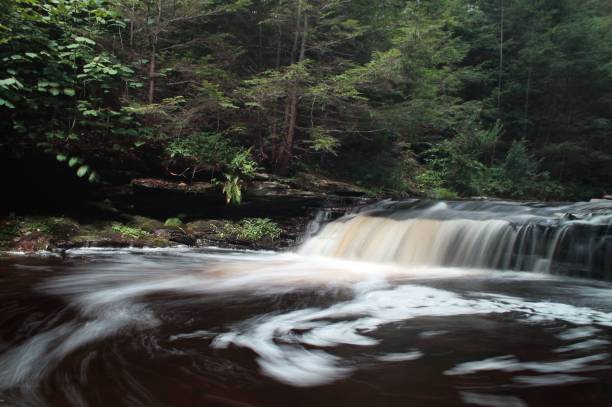 istock Waterfalls - Rickets Glenn - Nature Photography 1037093066