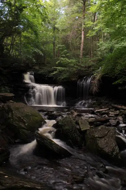 Photo of Landscape Waterfalls - Rickets Glenn - Vertical - Nature Photography