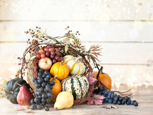 Autumn Thanksgiving cornucopia on a rustic white wood background. Very shallow depth