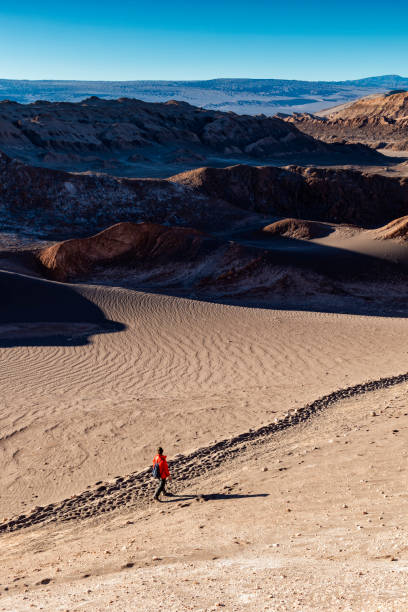 istock Woman hiking - Atacama desert - moon valley 1037095608