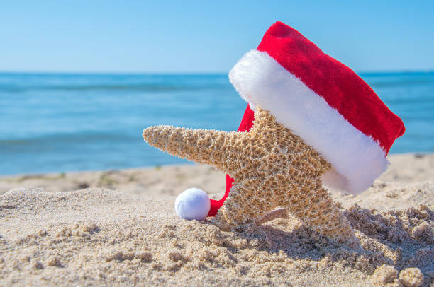 istock Christmas starfish in beach sand 1037096544