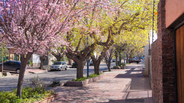 istock Argentina, Mendoza city 1037107014