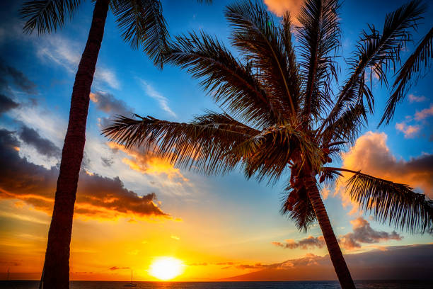 istock Hawaiian Sunset on Maui 1037112702