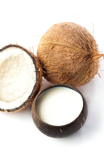 istock Coconut and Coconut Cream Milk Studio Still Life 1037116120