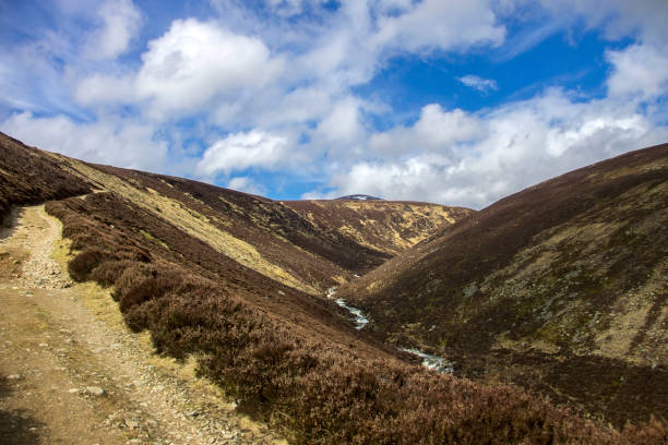 istock Cairngorm Mountains, Scotland 1037143290
