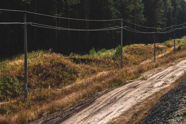 Photo of Power lines in glade along conifer trees. Poles with wires along dirt road near pinery in sunlight. Electricity poles in coniferous forest with copy space.
