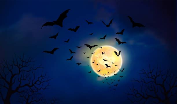 istock Happy Halloween background,Halloween background creepy forest with bats and full Moon 1037166714
