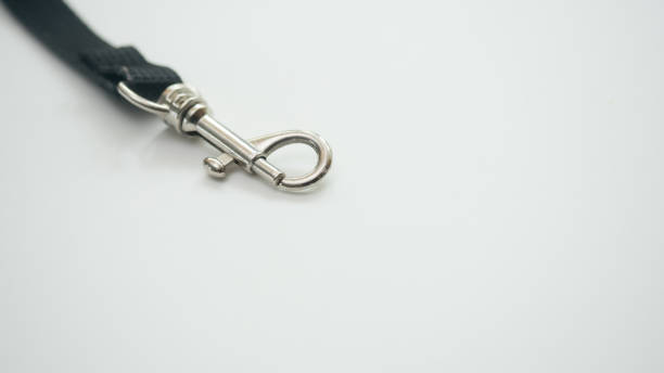 istock Dog leash on white background.Close up 1037166964