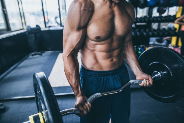 bodybuilder bauchmuskeln - abdominal muscle muscular build barbell bicep stock-fotos und bilder
