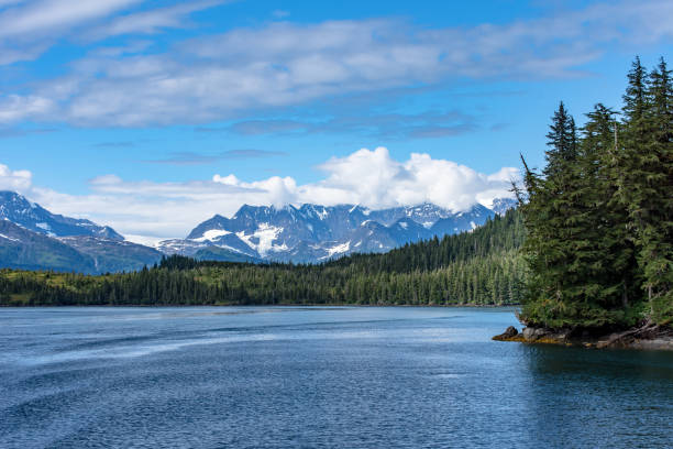 istock An Alaska Fjord 1037167632