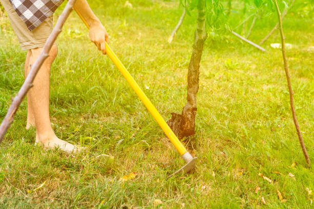 istock man working with hoe in garden under tree on lawn a 1037175048