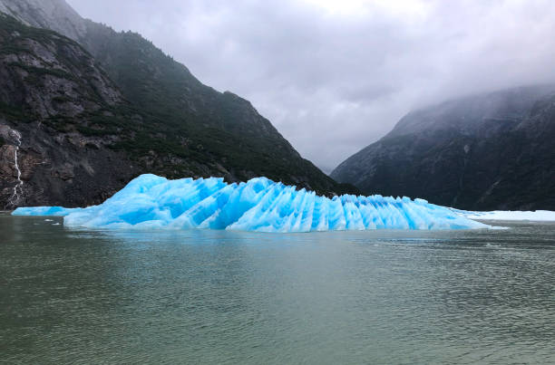 A large Iceberg in Tracy Arm Fjord to go to South Sawyer Glacier, Southeast Alaska