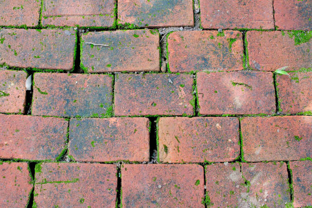 istock Old red brick floor texture with moss in garden 1037211554