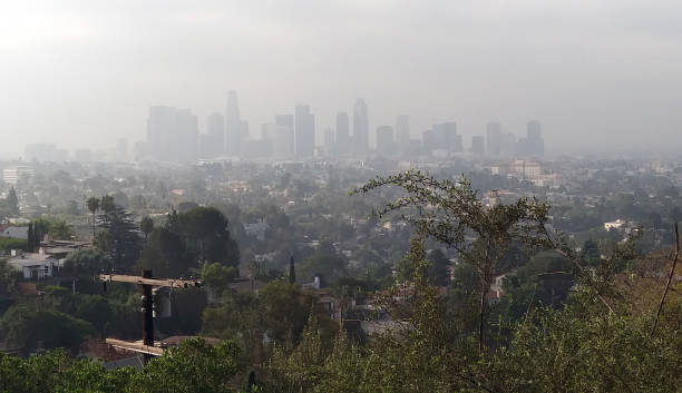 istock A Cloudy Morning in Los Angeles 1037212308