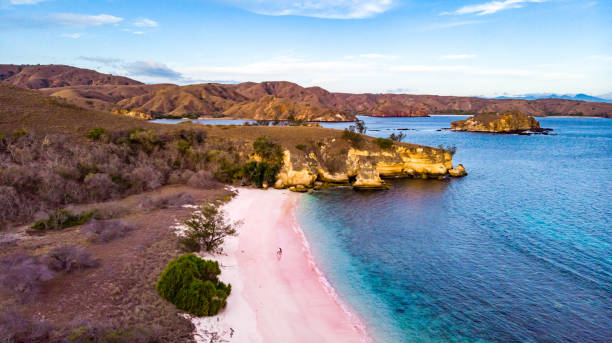 rosa praia - parque nacional de komodo, indonésia - labuanbajo - fotografias e filmes do acervo