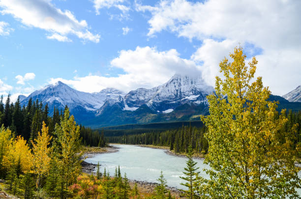 istock Athabasca River and Mountain range in Autumn, The Icefields Parkway, Canadian Rockies, Alberta, Canada 1037224062