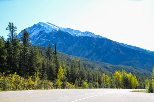 istock The Icefields Parkway in Autumn, Canadian Rockies, Alberta, Canada 1037226174
