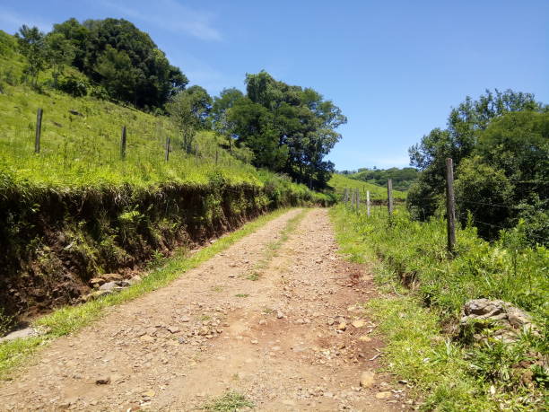 istock Road Brazil nature landscape 1037226332