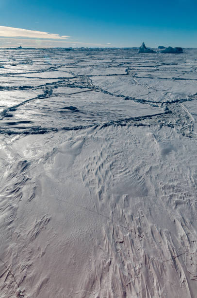 istock Thick snow-covered pack-ice and trapped icebergs, Antarctica 1037226610