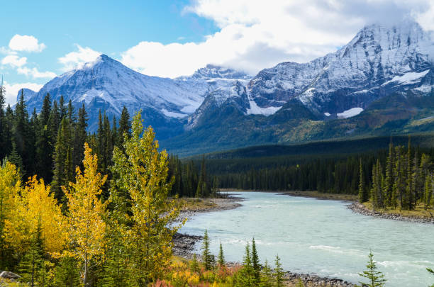 istock Athabasca River and Mountain range in Autumn, The Icefields Parkway, Canadian Rockies, Alberta, Canada 1037226960