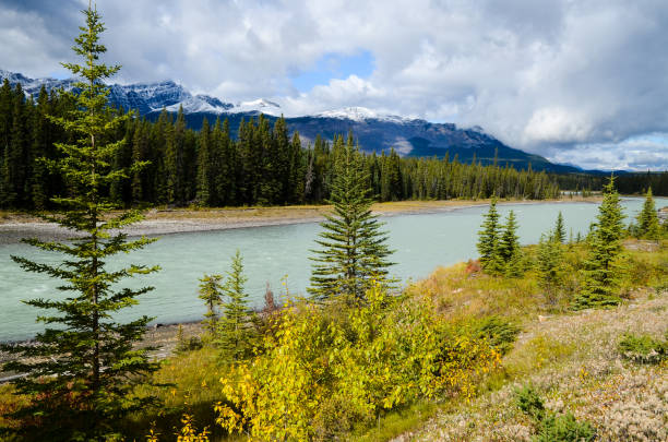 istock Athabasca River and Mountain range in Autumn, The Icefields Parkway, Canadian Rockies, Alberta, Canada 1037230050