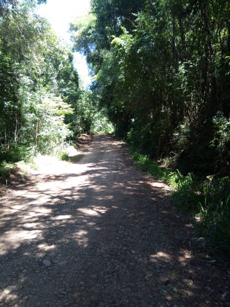 istock Road Brazil nature landscape 1037230394