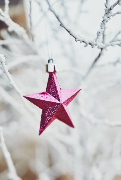 istock Pink star Christmas ornament in nature during snowfall 1037250340
