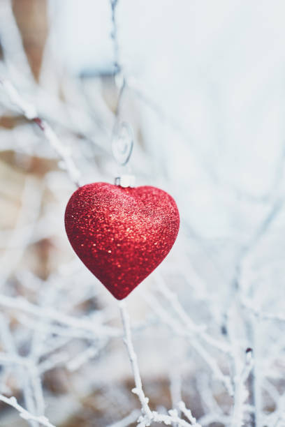 istock Heart shape Christmas ornament on snow covered branches 1037250346