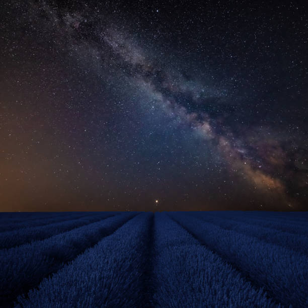 istock Vibrant Milky Way composite image over landscape of Lavender field 1037259710