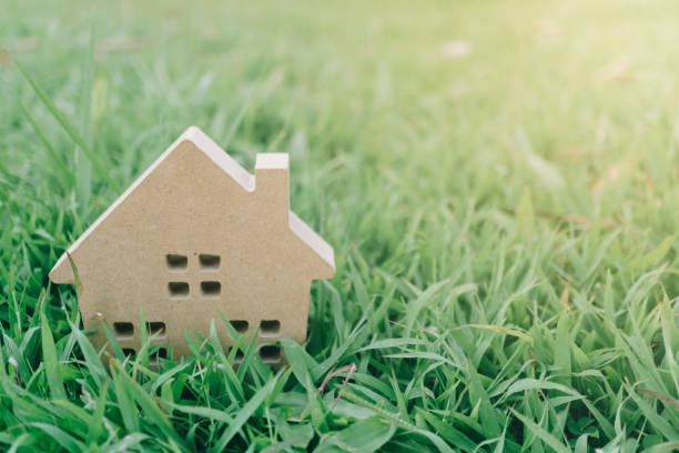 istock Closed up tiny home model on green grass with sunlight background. 1037260422