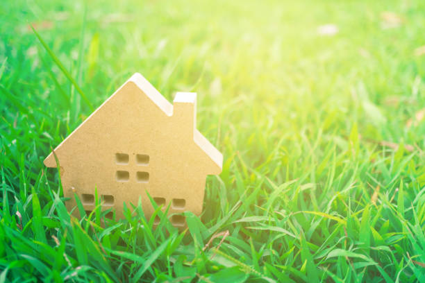 istock Closed up tiny home model on green grass with sunlight background. 1037260510