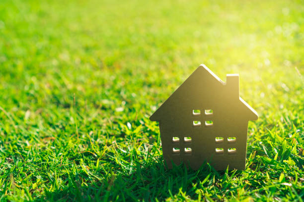 istock Closed up tiny home model on green grass with sunlight background. 1037278676